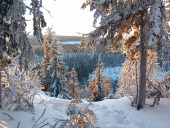 зимой в Финляндии